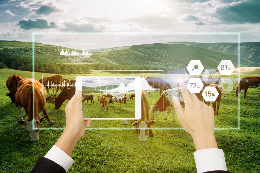 首页-PT视讯厅真人官方网站