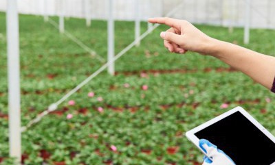 首页-PT视讯厅真人官方网站