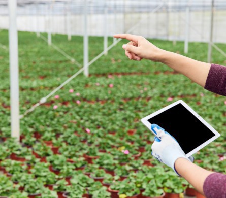 首页-PT视讯厅真人官方网站